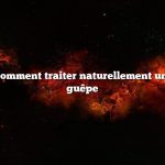 Question : Comment traiter naturellement une piqûre de guêpe